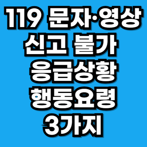 119 문자·영상신고 불가 대처법 응급상황 행동요령 3가지