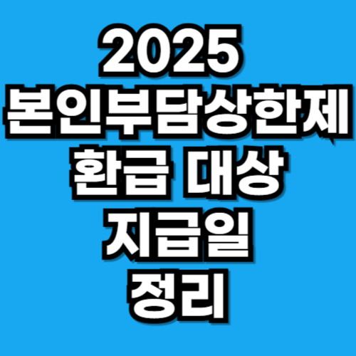 2025 본인부담상한제 환급 대상과 지급일 정리