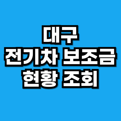 대구 전기차 보조금 현황 조회
