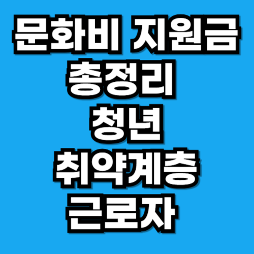 문화비 지원금 총정리 청년·취약계층·근로자