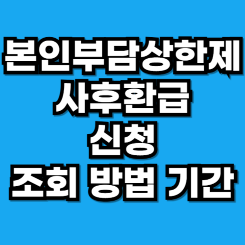본인부담상한제 사후환급 총정리