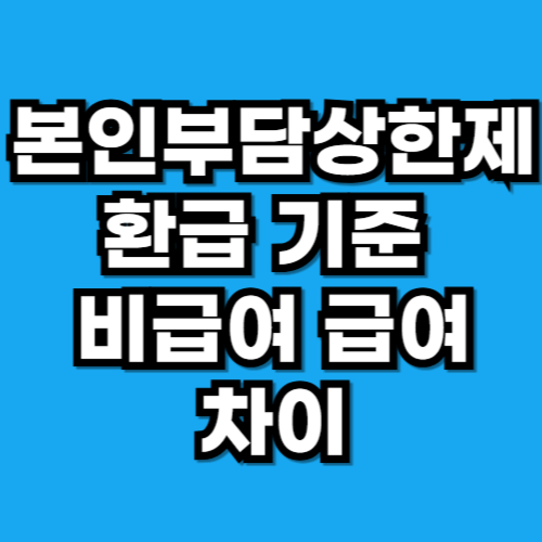 본인부담상한제 환급 기준 비급여 급여 차이