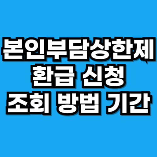 본인부담상한제 환급 신청 방법, 신청기간, 조회 총정리