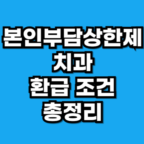본인부담상한제 환급 치과
