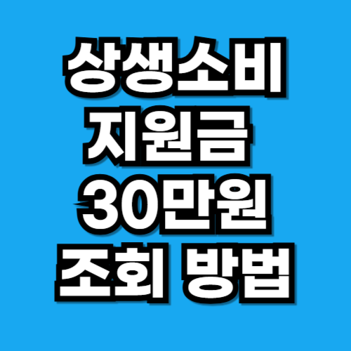상생소비지원금 지급 및 조회 총정리