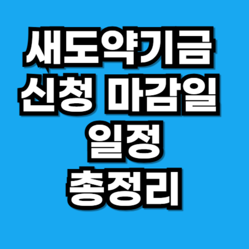 새도약기금 신청 마감일 및 일정