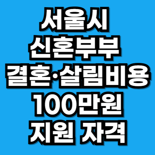서울시 신혼부부 결혼·살림비용 100만원