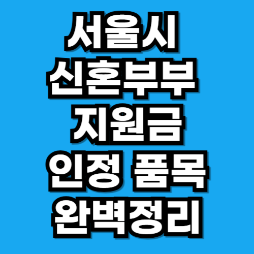 신혼부부 살림비용 지원 물품 품목 완벽정리