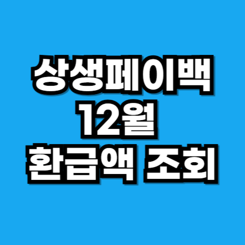 상생페이백, 12월 연장 내 환급액 조회하기
