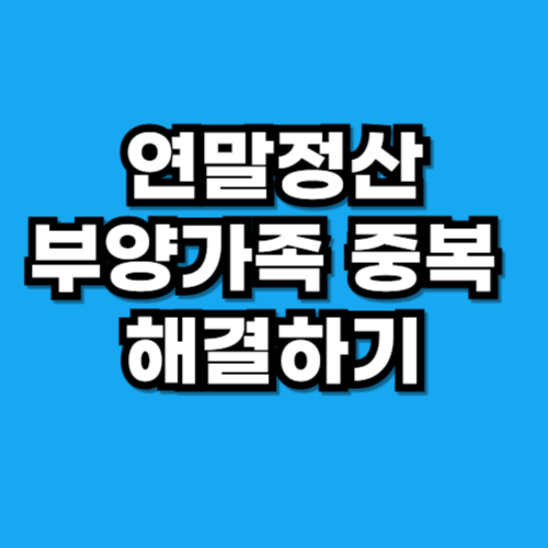 연말정산 부양가족 중복
