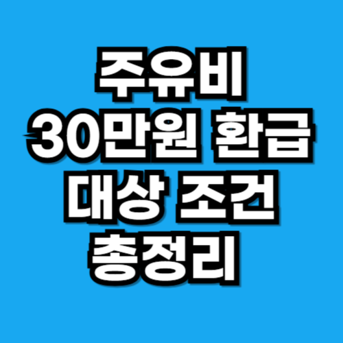 주유비 30만원 환급, 누가 받을 수 있을까 유류세 지원금 조건