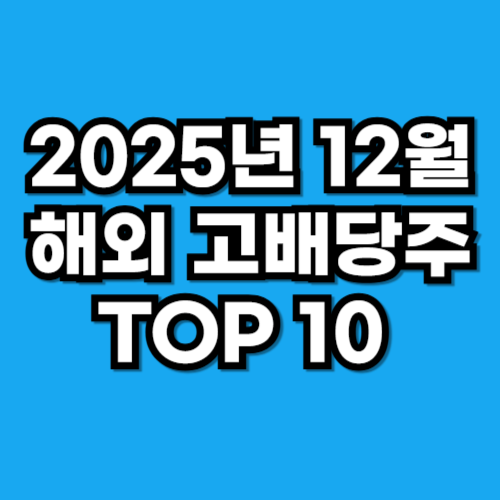 2025년 12월 해외 고배당주 추천 TOP10