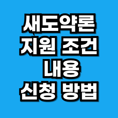 새도약론 조건 내용 신청 방법
