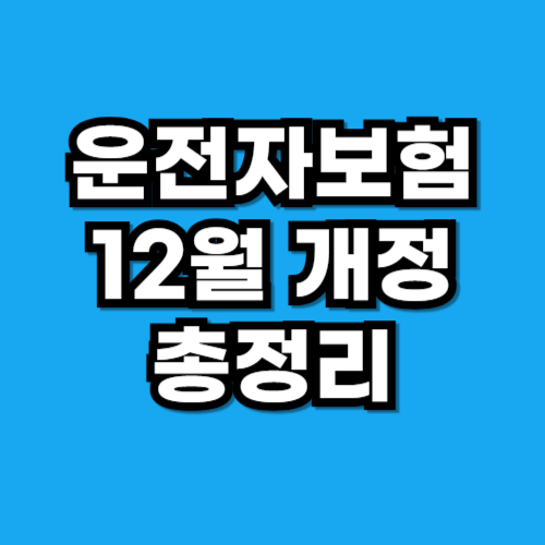 운전자보험 12월 개정