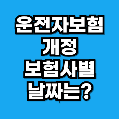 운전자보험 개정 날짜