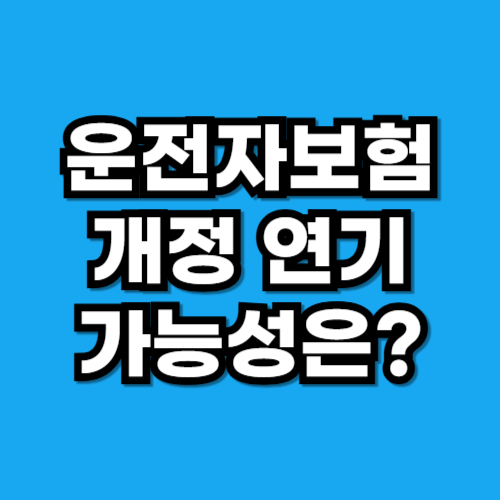 운전자보험 개정 연기 가능성은