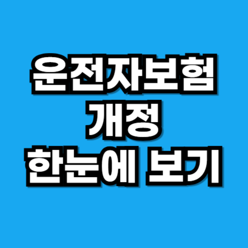 운전자보험 개정 한눈에 보기