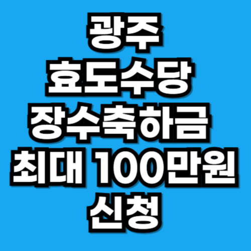 광주광역시 효도수당 장수축하금 최대 100만원 신청 방법 조건
