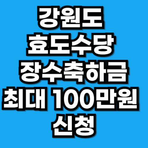 강원도 효도수당 장수축하금 최대 100만원 신청 조건 나이 방법