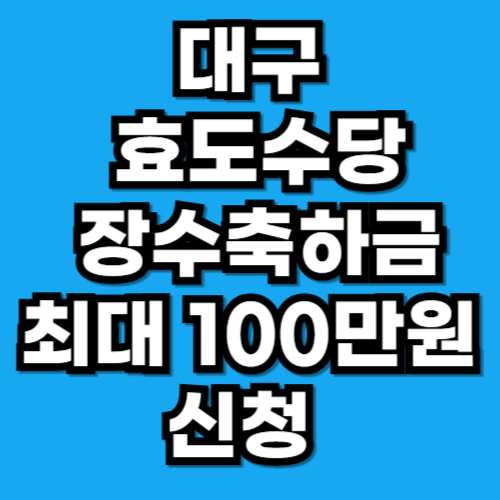 대구광역시 효도수당 및 장수축하금 최대 100만원 신청 조건 방법