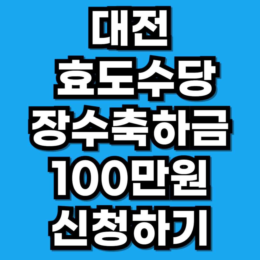 대전광역시 효도수당 장수축하금 100만원 신청하기