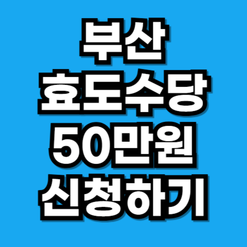 부산광역시 구군별 효도수당 및 장수축하금 지급 현황 (2026년 기준)