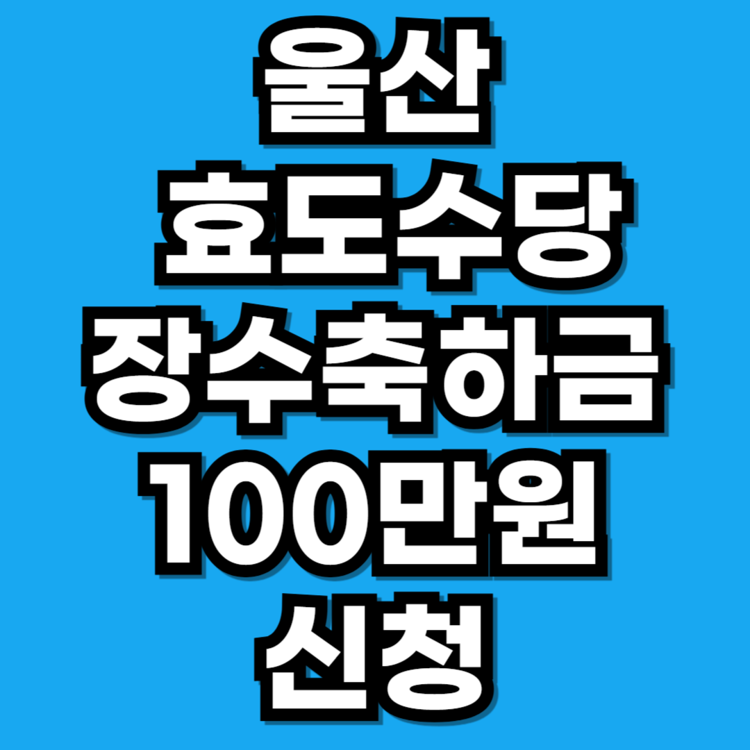 울산광역시 효도수당 장수축하금 100만원 신청 방법 총정리