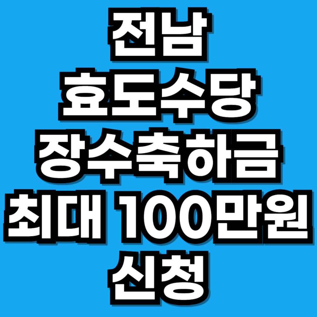 전라남도 효도수당 및 장수축하금 22개 시·군 전 지역 총정리 (2026 최신)