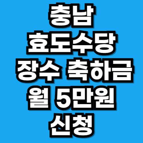 충남 효도수당 장수수당 월 5만원 신청하기