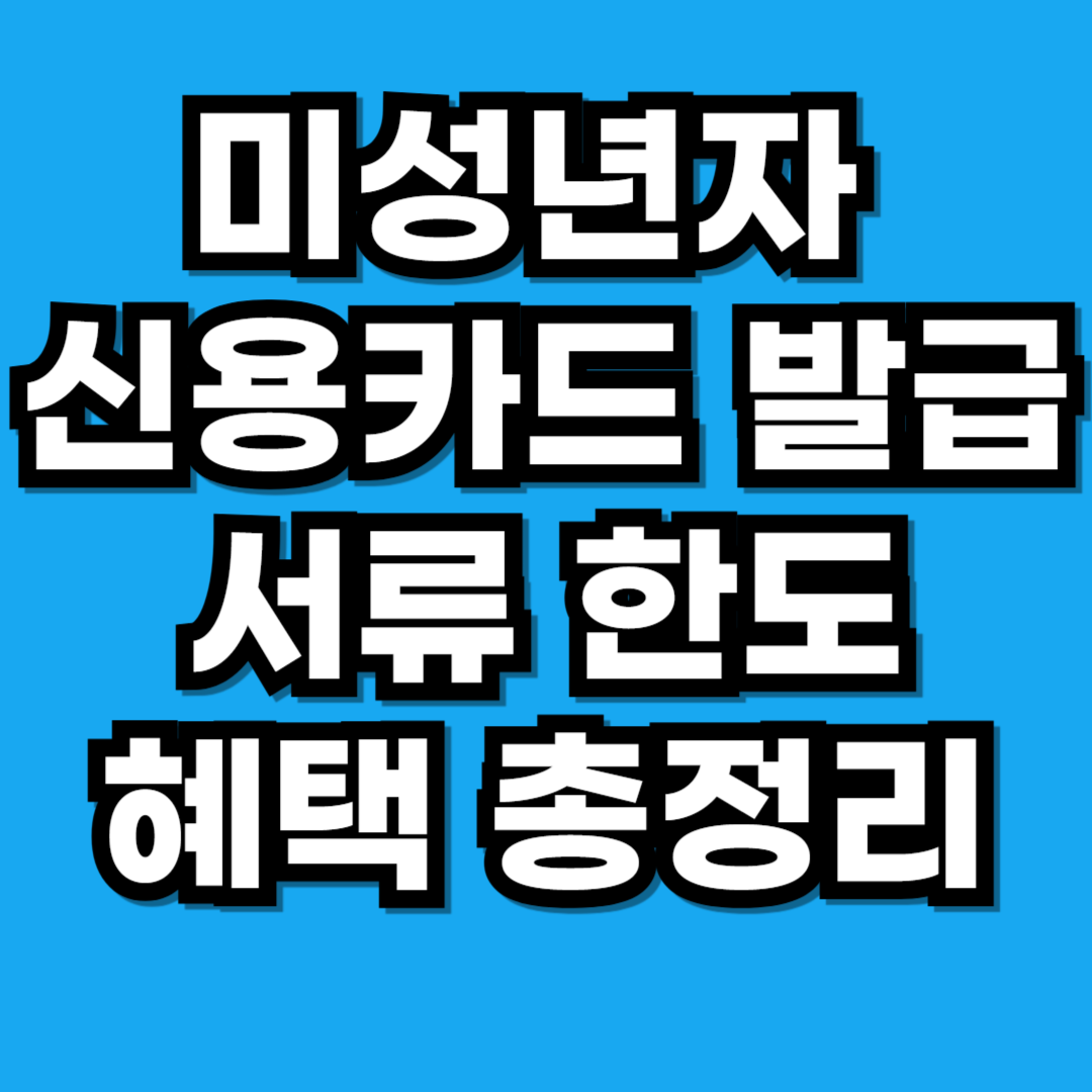 미성년자 신용카드 발급 서류 한도 혜택 총정리